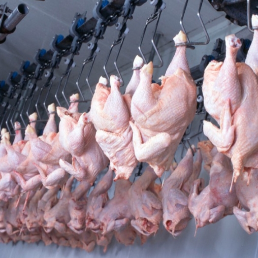 Qualidade e rigor sanitário fazem do Paraná líder em exportação de carne halal