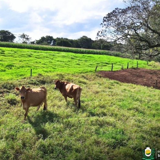 Quem não realizar a atualização dentro do prazo não poderão emitir GTA