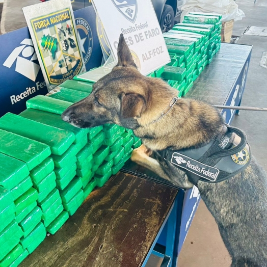 Receita Federal apreende 227,3 kg de maconha escondidos em fundo falso de van paraguaia