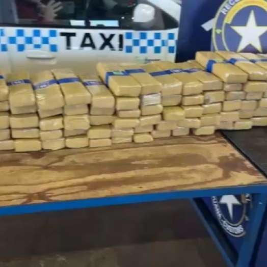 Receita Federal apreende mais de 289 kg de substância análoga à maconha em veículos com placas paraguaias