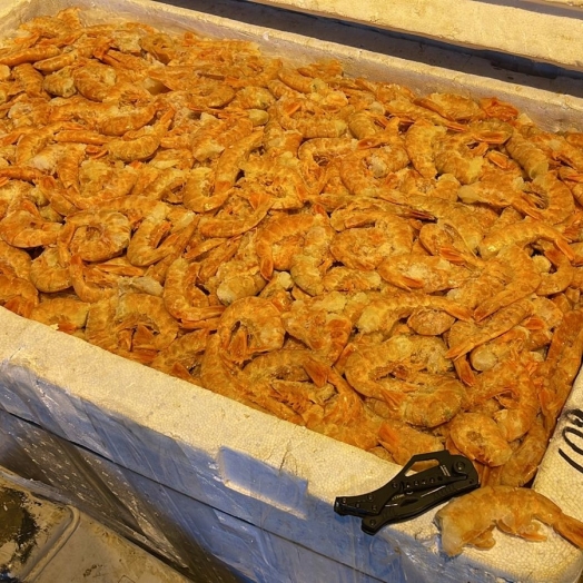 Receita Federal e BPFron apreendem 140 quilos de camarão no posto de fiscalização de Santa Terezinha de Itaipu