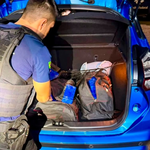 Receita Federal retém mais de 70 kg de substância análoga à maconha