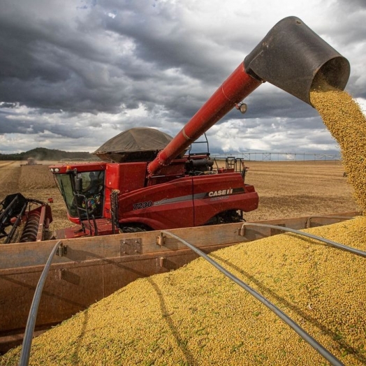 SAFRA 2022/2023: Mercado de grãos demonstra cenário de positividade