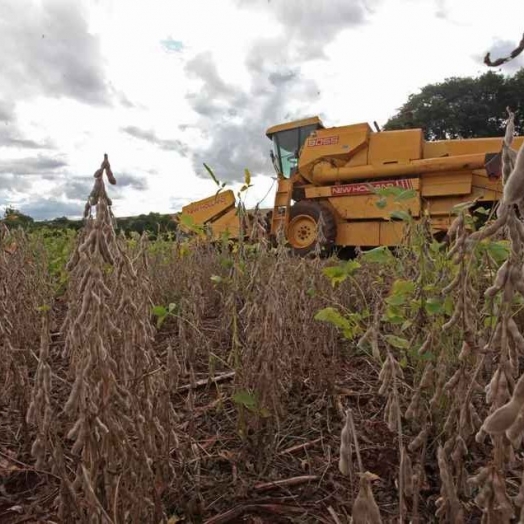 Safra de soja aumenta demanda por trabalhadores temporários no Paraná