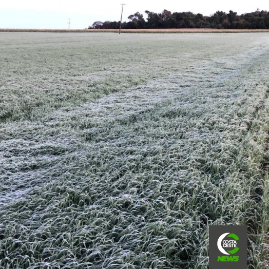 Santa Helena registra mínima de 1ºC e formação de geada, segundo Simepar