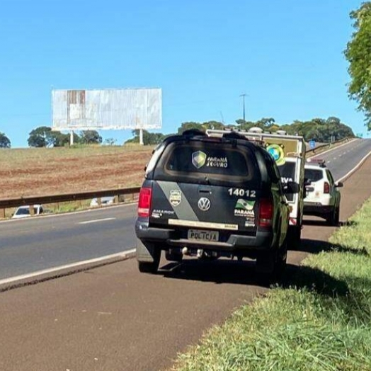 São Miguel: Cadáver é encontrado às margens da BR 277, vítima de atropelamento