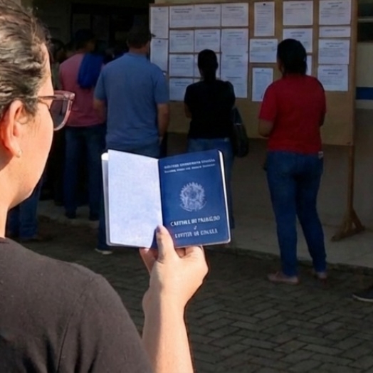 São Miguel do Iguaçu tem mais de 360 vagas de emprego abertas; veja como se candidatar