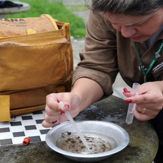 Saúde de São Miguel divulga resultado do 1º Levantamento Rápido de Índices para Aedes Aegypti de 2022