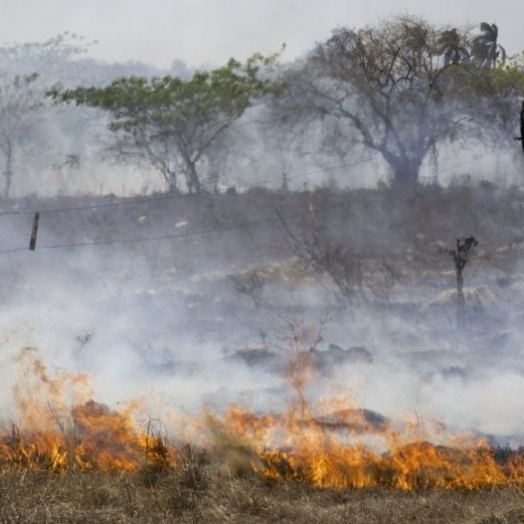 Seca impacta além do abastecimento de água: prejudica agricultura, saúde e agrava riscos de incêndios