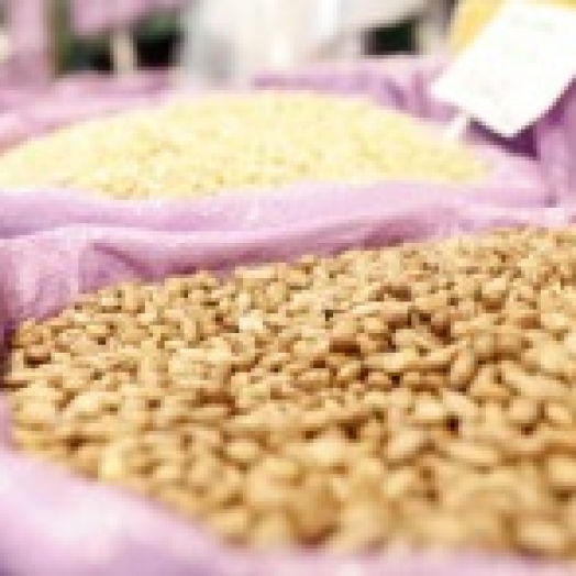 Secretaria da Agricultura divulga nova estimativa da safra 2022/23