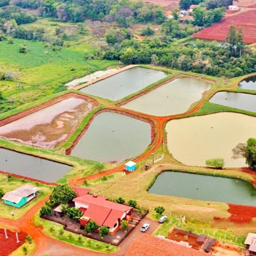 Secretaria de Agricultura de Itaipulândia está com o Chamamento Público aberto para seleção de propriedades para piscicultura comercial