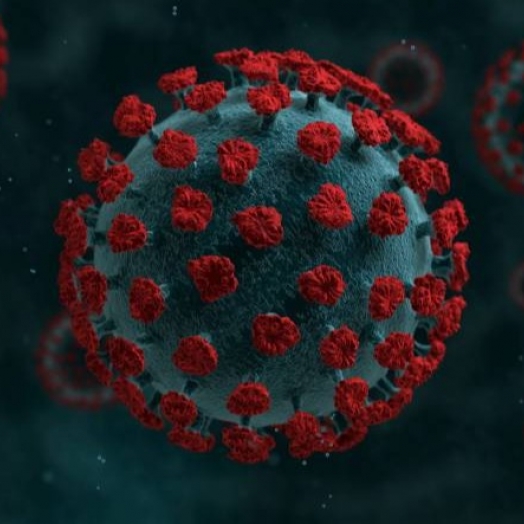 Serranópolis do Iguaçu: Boletim Epidemiológico 08/02