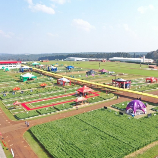 Show Rural Coopavel de Inverno recebe público de 36 mil pessoas