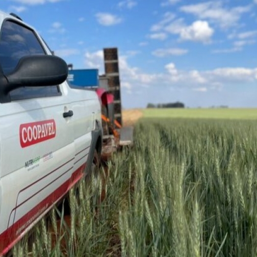 Show Rural de Inverno vai mostrar benefícios da agricultura de precisão no trigo