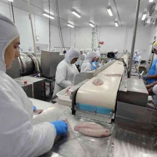 Show Rural vai apresentar equipamentos e terá palestras sobre a criação de peixes