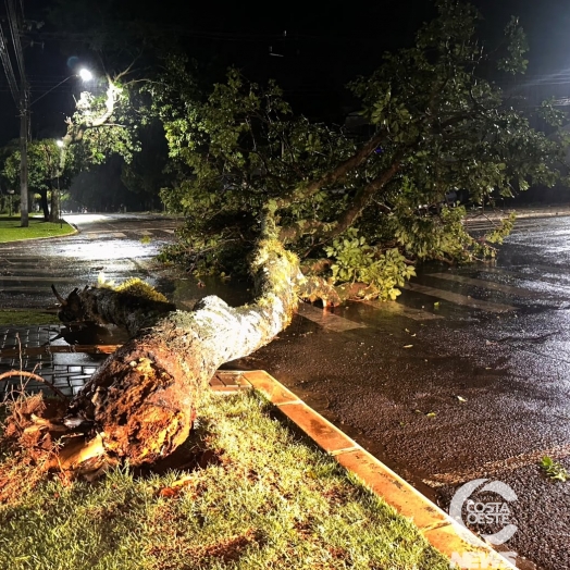 Tempestade provoca alagamentos, destelhamentos e queda de árvores em São Miguel do Iguaçu