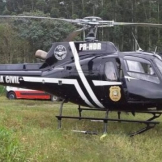 Tragédia em SC: Família é atacada por abelhas e uma pessoa morre