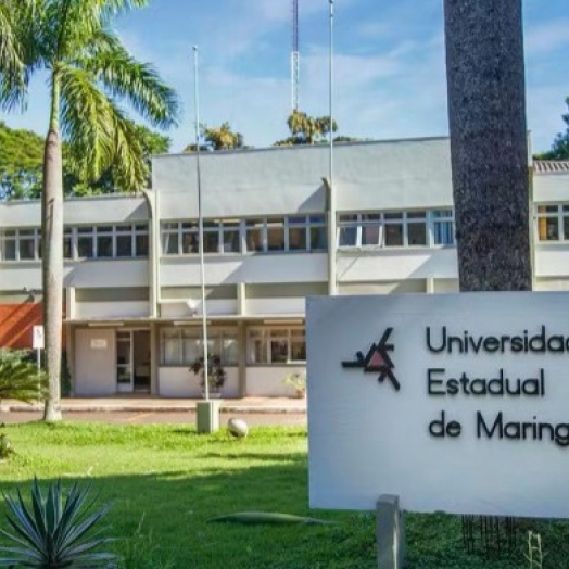 UEM abre teste seletivo para contratação de servidores temporários em diversas áreas; veja como participar