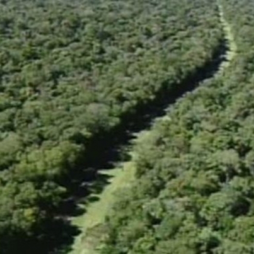 Urgência para PL da Estrada do Colono será discutida a partir das 13h55 desta quarta, 09