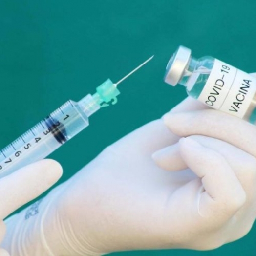 Vacina contra coronavírus começa a ser aplicada no Paraná no fim de janeiro, diz secretário da Saúde