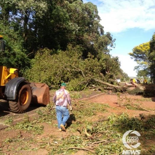 Veículo colide em árvore derrubada sobre a rodovia PR 488, entre Diamante D’Oeste e Vera Cruz