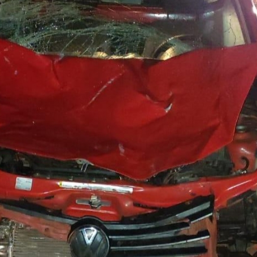 Veículo colide violentamente em boi na rodovia PR 317 em Santa Helena