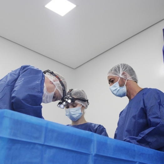 Vet Expiriencie Cirurgia: HVU proporciona aos alunos de Medicina Veterinária imersão na prática