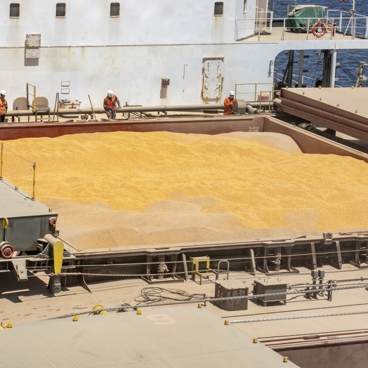 Volume de milho embarcado em janeiro em Paranaguá é 161% superior ao mesmo mês de 2022