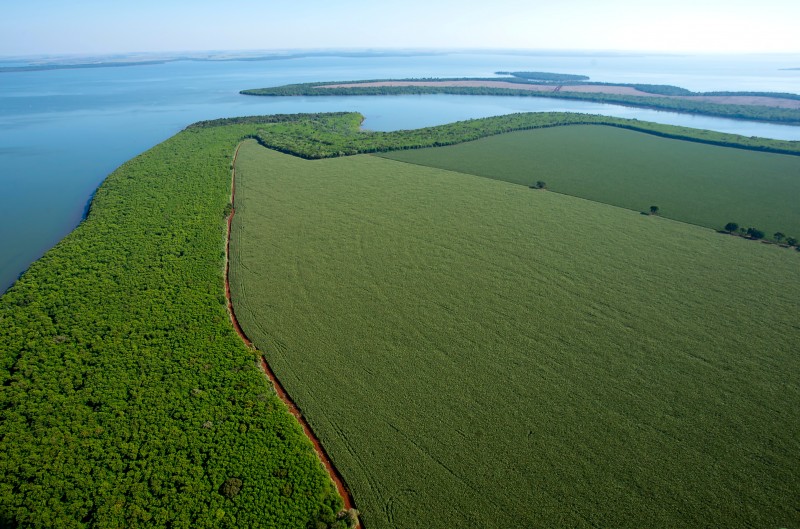 Faixa de proteção às margens do reservatório: mais de 24 milhões de árvores nativas. Foto: Caio Coronel/Itaipu Binacional.